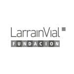 fundacion larrain vial